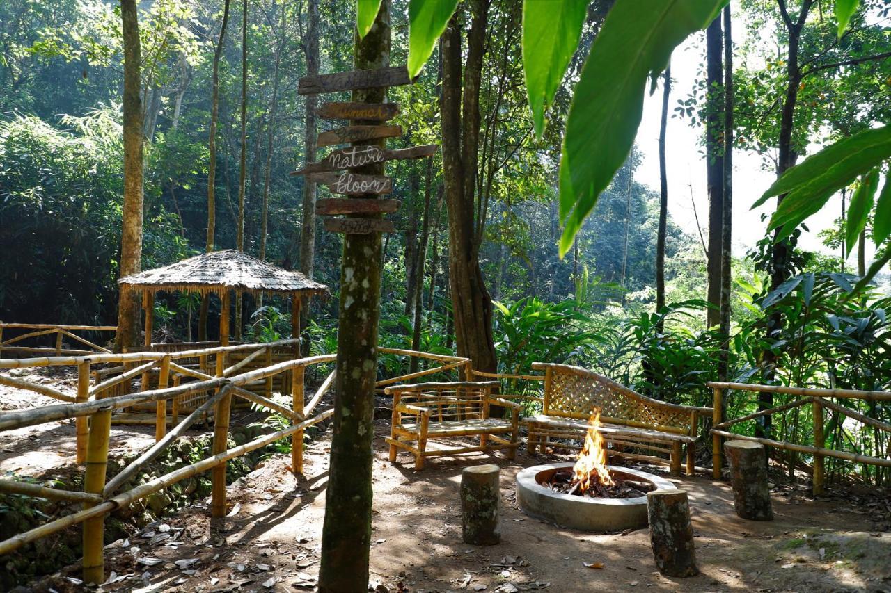 Hotel Casillda Munnar Exteriér fotografie